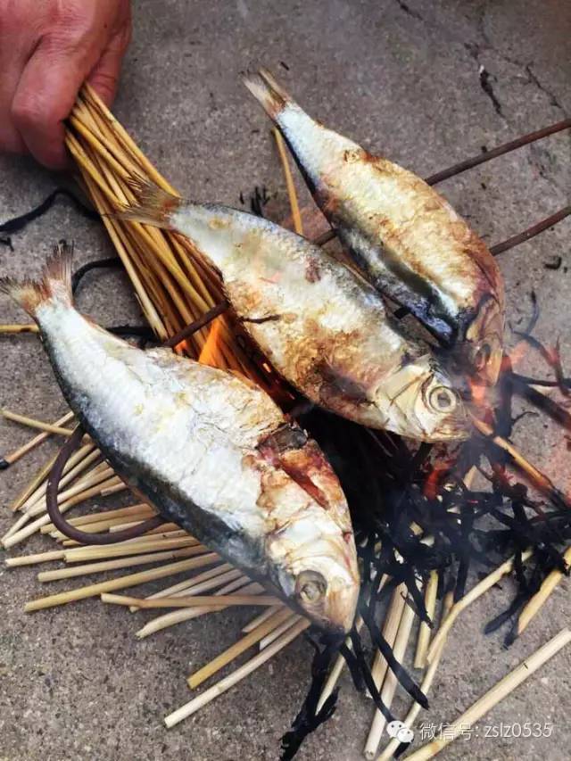 【ky.com】北美内陆白冷杉/铁杉-冷杉价格上涨(图2)