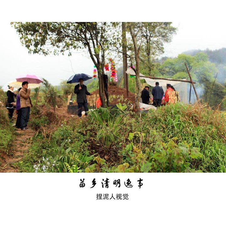 2012我国原木进口量较2011年同期出现负增长-ky com(图3)