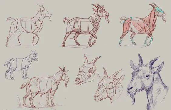 ‘ky.com’
仿生造型设计仅仅是对自然生物的简朴模拟吗？「手绘530Day」(图23)