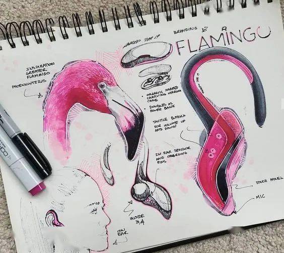 ‘ky.com’
仿生造型设计仅仅是对自然生物的简朴模拟吗？「手绘530Day」(图34)