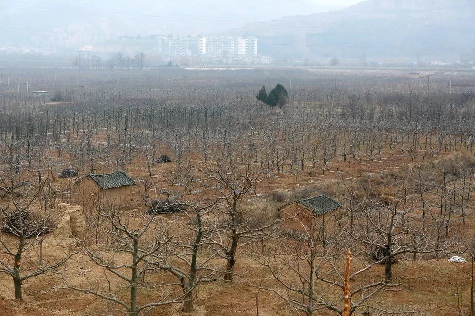 2018年欧洲歌唱大赛视觉形象发布：kycom(图1)