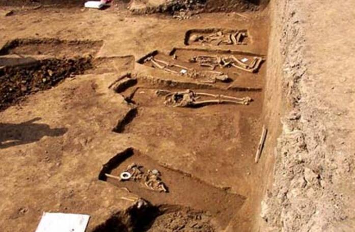 沙比利货源紧张 价格上升200元/立方米|kycom(图2)