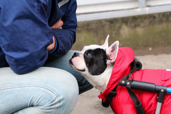 北京市已建成各类雨水利用工程2100余处‘ky com’(图2)