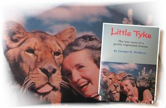 罗杰斯事务所的英国沃克斯豪尔28层住宅楼项目获批|ky com(图3)