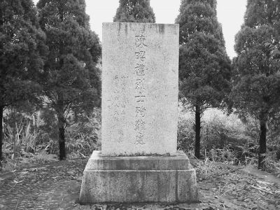 【包装】喜庆的桥城甲鱼新年装_ky.com(图1)