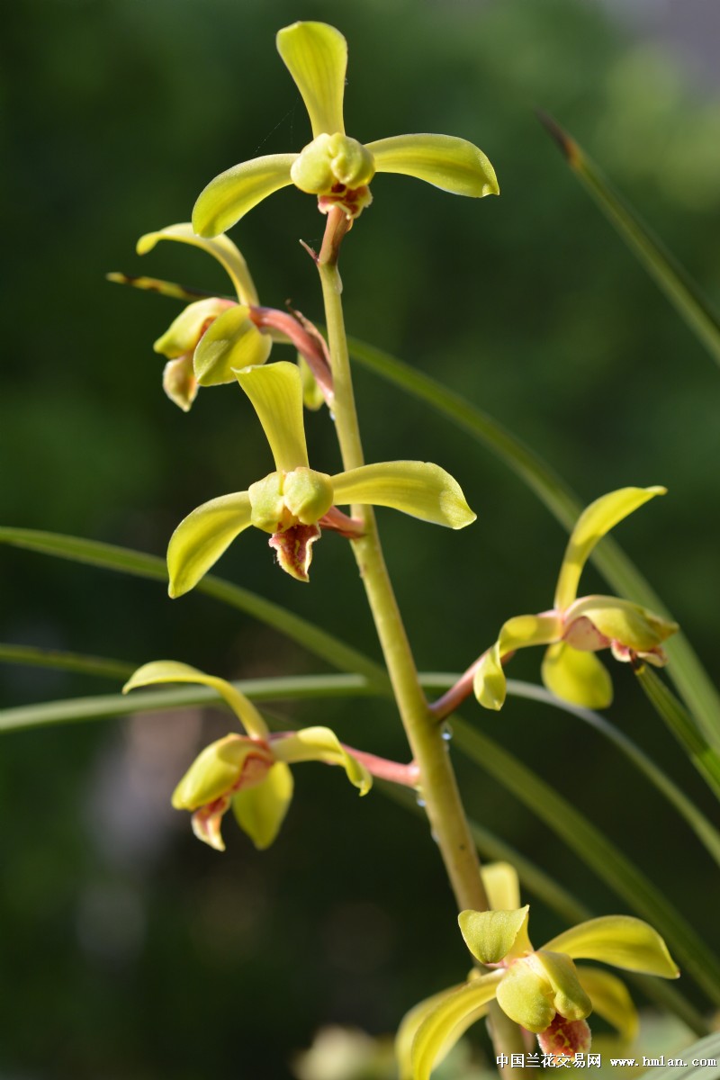 ky com_2017年6月第二期：包装设计《原创推荐》(图2)