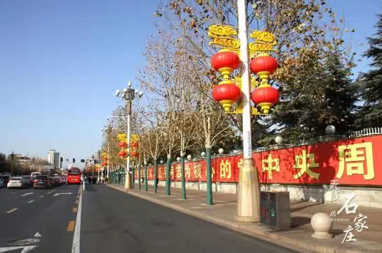 国内原木成品提不起来价格 国外却涨势逼人|ky.com(图3)