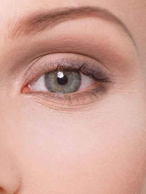 卡纳塔克邦地方政府拍卖紫檀木期限至4月30日：kycom(图1)