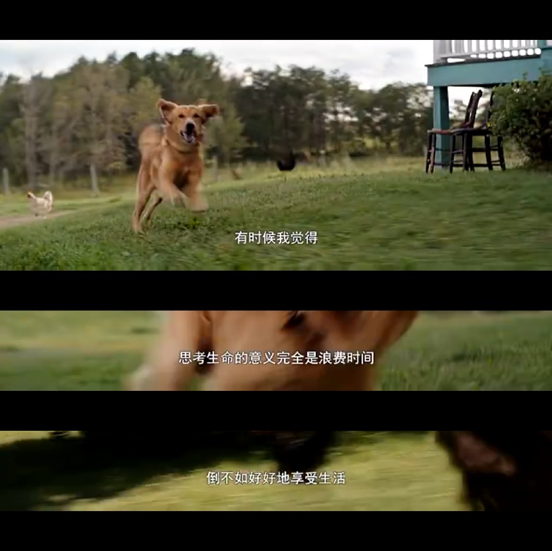 “kycom”安徽宁国“三竹”产业快速发展(图1)