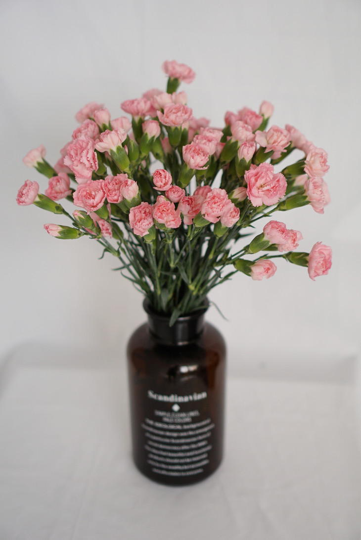 【kycom】红檀香、阔变豆依旧呈现少量走货(图2)