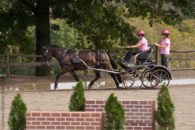 山东济南区域性文化中心byASarchitecture-studio：kycom(图1)