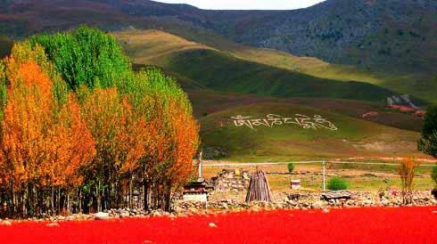 上半年黑龙江原木进口价格下跌5.4%_ky com(图4) 上半年黑龙江原木进口价格下跌5.4%_ky com(图4)