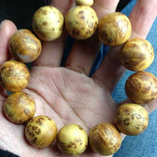 “ky com”地产诺贝尔荣归吴中·北国之春(图2)