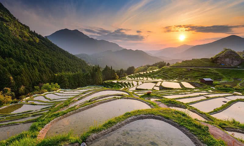 巴马：村民设卡木材难难出 每日损失上万元-ky com(图1)