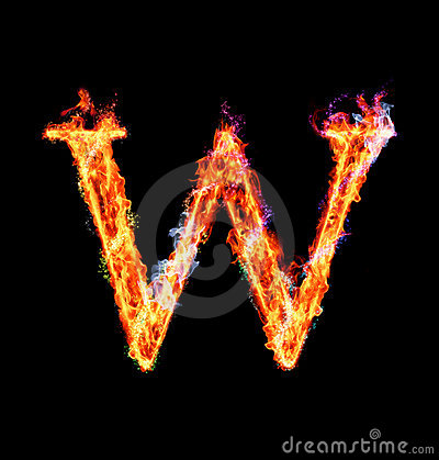 中国：推动森林认证与林业改革发展深度融合【kycom】(图3)