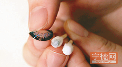 kycom:年终总结:非洲材价格持续上涨 巴新材受欢迎(图2) kycom:年终总结:非洲材价格持续上涨 巴新材受欢迎(图2)