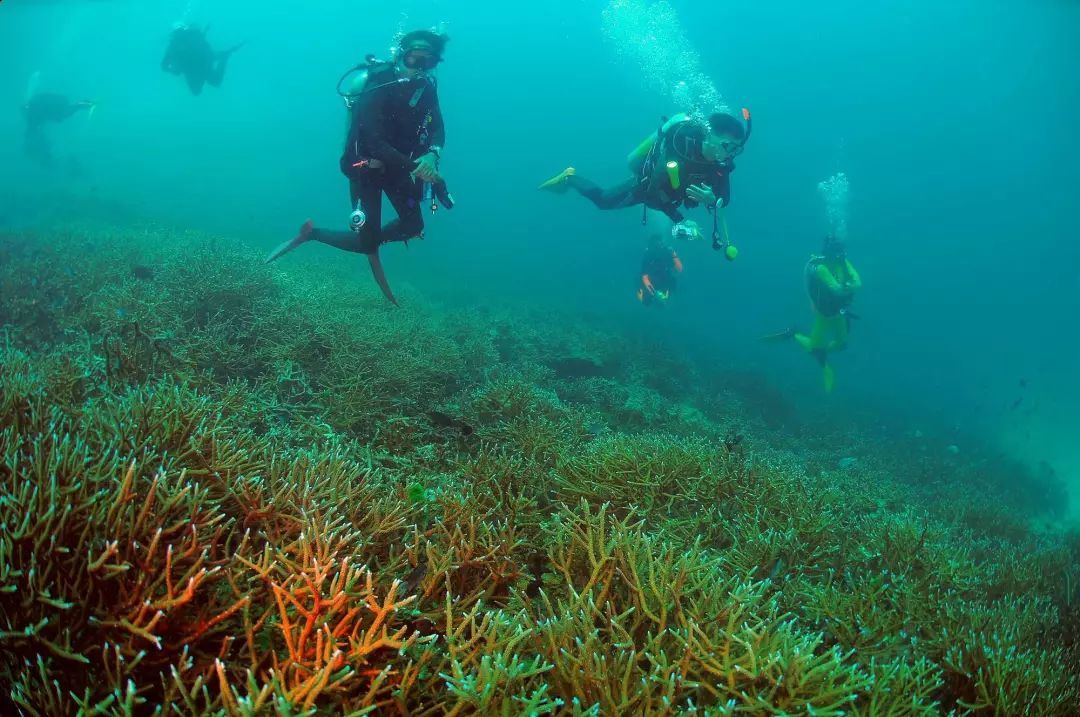 英国Shoffice花园凉亭办公室-ky com(图2)