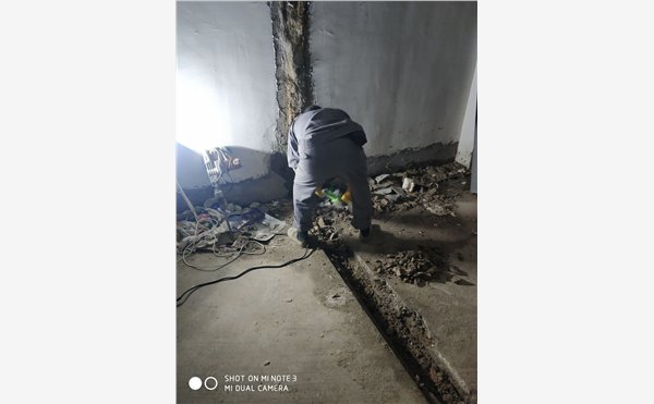 近期进口原木市场 加拿大大火导致北美材全线飙涨‘ky com’(图2)